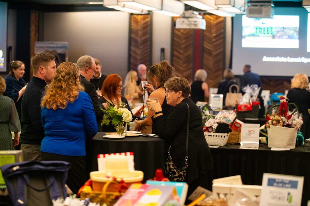 sef_auction_2024-012